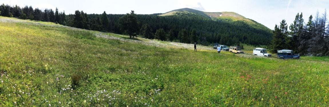 Visit Alpine Meadows…