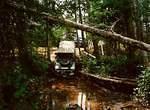 Taking a dip in the mud