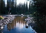 Daves Pics