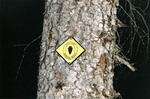 messue_trail_signage