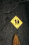 signage_on_the_trail