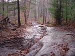 DSC01513.JPG