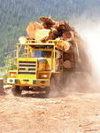 Here come da logging truck!.JPG