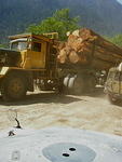 Stuart sneaks by logging truck.jpg