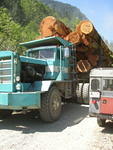 The 107 sneaks by logging truck.JPG