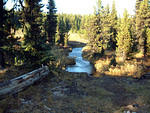 8 Pearson crk, camp Greystokes