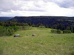 Climbing up through the meadow on the unmapped connector to the Cariboo