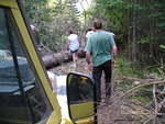 Clearing brush and branches.