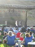 Elvis in the park.