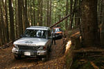 Crowf. deadfall