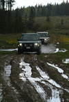 Muddy tracks hard to come by in the Merrit area