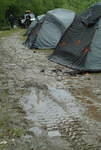 soggy morning/Revelstoke area