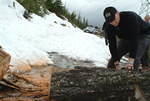 Cutting blow down on Pettipiece Pass/Seymour Arm area
