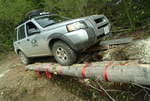 Freelander lined up