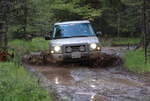 Loon Lake area mud
