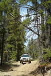 Big hill just past Windy Ridge FSR