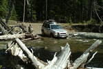 Creek near Swartz lake
