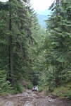 Back down Hale Creek...i can't remeber why?