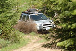 Taylor Creek rally drive