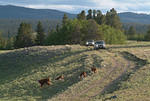 Douglas Lake Ranch above Cater Lake