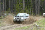 Nice bit of Douglas Lake Ranch mud