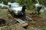 Bridging action near Celista