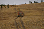Scouting 1 of many roads on Douglas Lake Ranch