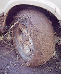 PaulC's Trail Pics 2004