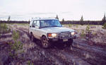 Old logging rd Loon Lake
