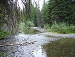 Creek crossing near Swartz Lake