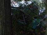 42038231-8a12-02000180-.jpg
