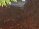 HPIM0445.JPG