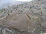 Face in hill at land slide.