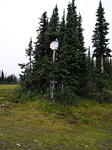 Stop sign in the middle of nowhere.