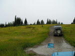 Alpine meadows.