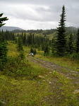 meadow went for several miles along the ridge.