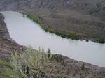 Water up over the trees, but its receded significantly since the landslide. There were signs of water up 50 feet higher up the banks.