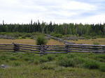 Chilcotin fencing.