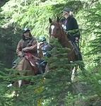 Horses
