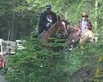 Horses#4