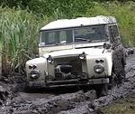 white in mud #3
