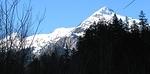 MT Jimmy Jimmy