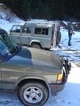 Good variety of Rovers
