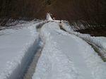 Port Mellon Snow #2