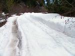 Port Mellon Snow #4