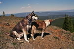 View from top of Lodestone mountain