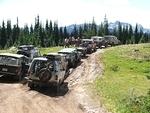 lined up in the meadows