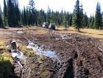 28. Its hard to find the trail as it dissapears into a peat bog.jpg