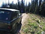3. The Not-so-wild life blocking the trail.jpg