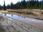 Damaged meadows & a dumped car -not good.JPG